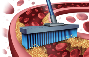 �� ���� ��û���ϱ�
������ ������ ��, �۰� ���̰� �⸧ġ��~