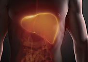 ������ȯ ���� 2
����ȯ, �� ū �� ���� �ʰ� �����ϴ� ��