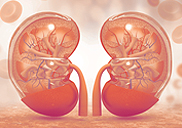 �������Ϻ� ȯ���� ���̿��
���̹� ��� ��ҹ� �԰�,
ä�ҿ� �� ���뵵 �ٿ���