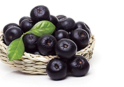 �ｺ���� �� ����