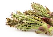 �ǰ� �Ĺ� ᳻���<br/>
�ɽ� �ǰ� �����ִ�
�곪�����鳪�� 7