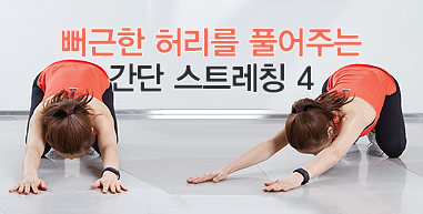 ȫ������ �޵��� ��Ʈ�Ͻ�
������ �㸮�� Ǯ���ִ�
���� ��Ʈ��Ī 4