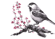 [�Ŀ�������] ���ȭ�� ���� ���� ���� �׷��� ����