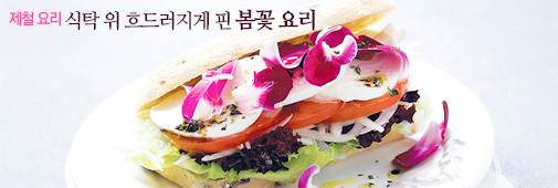 ��Ź �� ��巯���� �� ���� �丮