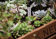 �� ������ '������'