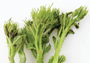 4�� ��ö��ǰ���� ������ ���� ���� ����