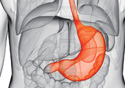 õ�� ���� �ж����� ���� '��' ���