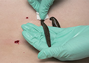 ¡�׷��� �ŸӸ���������,
�˰����� ������ ���ǡ�