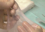 �縷(��د), �Ǻ�, ����
��ü������ ��Ȱ�� ��� �̷�����