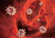 ����� ���� ����� ������,
���� ġ�� ������
���Ȯ�� 20~30%