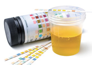 �Һ�����
���� �ǰ� ���� �����ϴ� ��