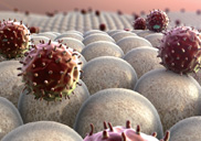 �鿪�¿� ����
���ذ� �θ�
��������Ƽ��