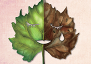 �Ǻΰ� �ɷ��̴�