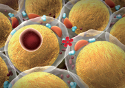 �� ���� �Ϸ��� �索 �������� �ϼ���