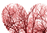 �浿�� ������ �β��� �ٽ�����