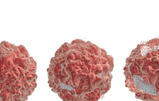 ����Ȱ������ �ٲ㵵
�ߺ� ���� 40% ��������