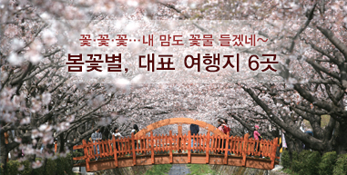 ���ɺ�, ��ǥ ������ 6�� �ɲɲ� ������ �ɹ� ��ڳ�