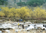 ������ ��ġ '��&ګ ��������'