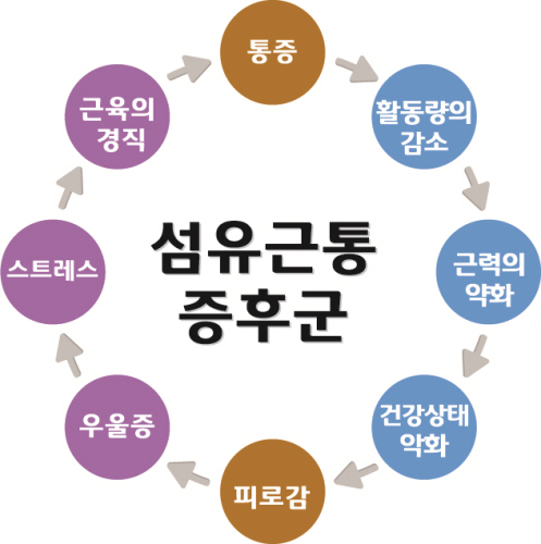 ▲섬유근육통 증상(사진=강동경희대병원 제공)