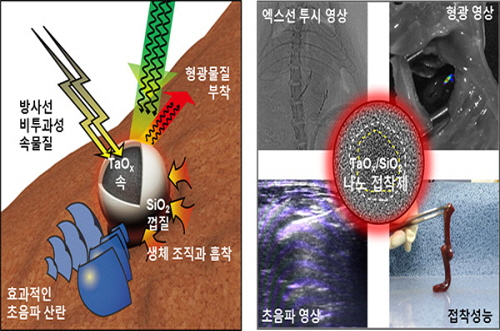 ▲조영 및 접착효과를 갖는 나노 접착제 구조와 물성(좌), 나노입자의 전자현미경 이미지와 각 물성을 이용한 대표 예시(우) (사진=기초과학연구원 제공)