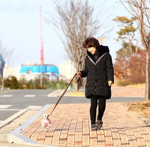 ▲ 보온을 위해 조끼를 입힌 반려견 모습 (사진= 농촌진흥청 제공)