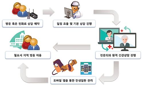 재외국민 대상 원격 건강상담 서비스 제공 과정(분당서울대 제공)