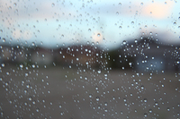 ����� ���ѵ�, �Ǻα��� ���ƴٰ���? ���� �����