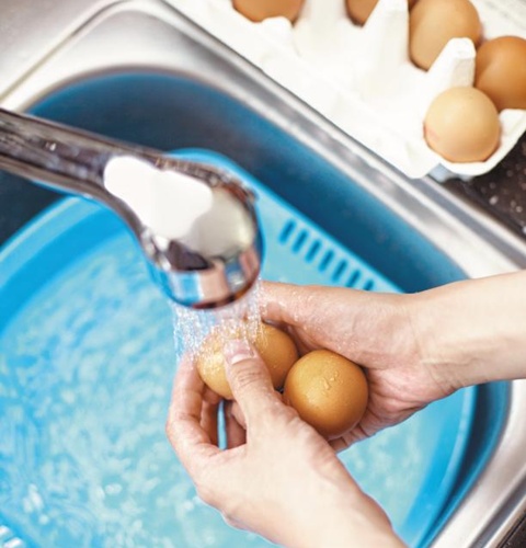 계란 표면을 물로 씻어야 식중독을 예방할 수 있다.