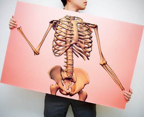 
	뼈는 몸의 형태를 유지하고, 주요 장기를 보호하며, 몸속 이온 농도를 조절하는 등 여러 기능을 한다.
