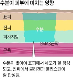 
	수분이 피부에 미치는 영향
