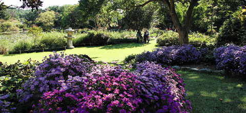 õ��������� ����.