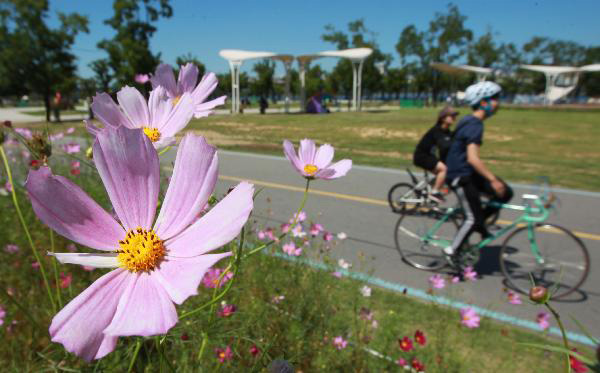 꽃 뒤로 자전거를 타는 사람들