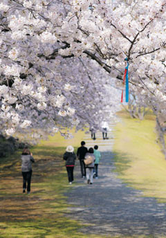 �Խ�����