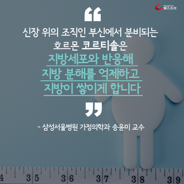 인형과 줄자 사진