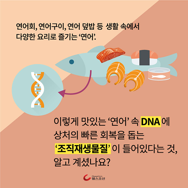  DNA ̹