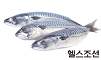 오메가3 풍부한 등푸른 생선이 뇌건강에 도움이 된다.