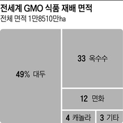GMO ǰ  