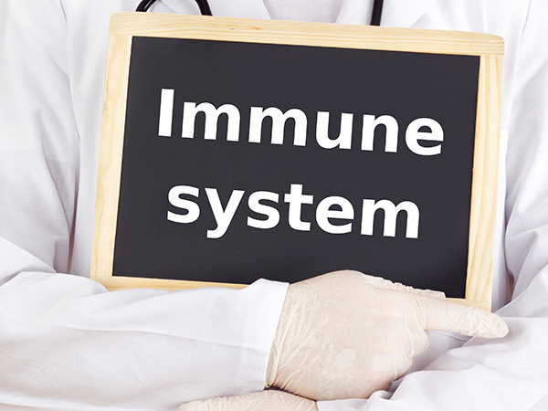 Immune system ۾  