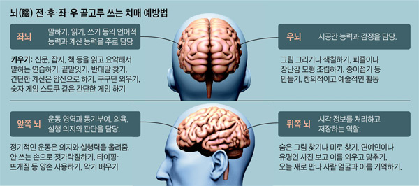 뇌 전후좌우 골고루 쓰는 치매 예방법 그래픽