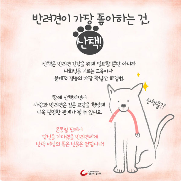 산책 가고싶은 개 이미지