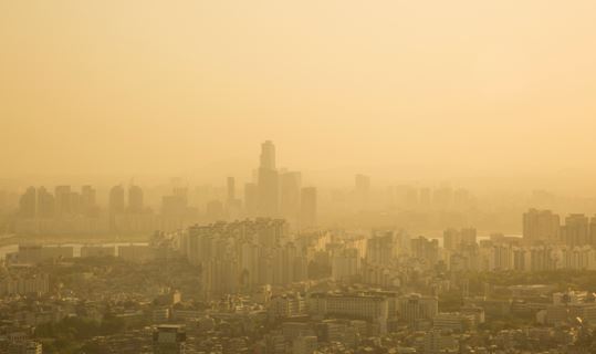 �������� ���� ������ ���