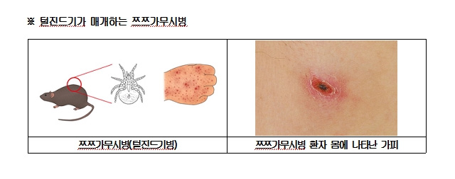 갡ú  