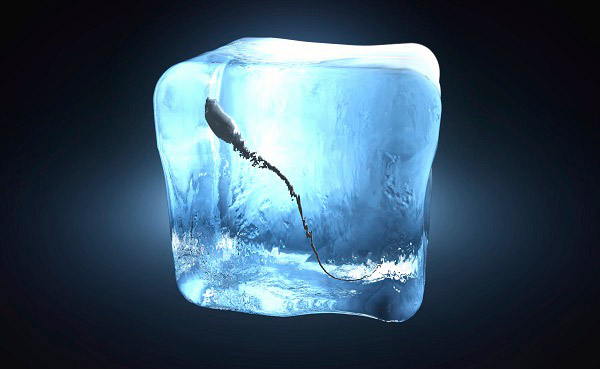 얼음 속에 얼려진 정자