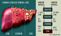  83%, BC   ȯ,   ..