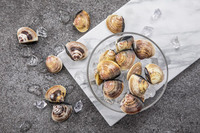 ������ �� �̼��ö�ƽ "�ذ� ���ϸ� 90% ����"