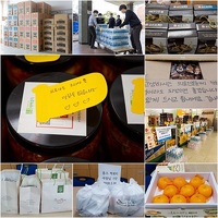 �ڷγ�19 ÷�� �뱸���縯�뺴���� ������ �Ŀ� ����