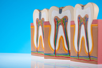 ġ�ƿ� �ΰ��� �ϻ� ��ܡ� ��ꡤ��� �� ��� ���´�