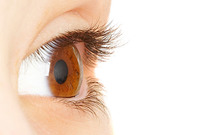 �ڷγ�19, �����ε� ���� ���ɼ����ḷ�� ���� ��Ÿ��