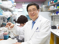 �޵�����, ��ȭ��� �о� ������ �Ա�� ���� ����