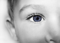 ���� '�ٽ�' ���� �� ����Ⱦ൵ ���δ�?